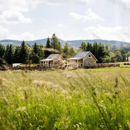 Alicjowka -